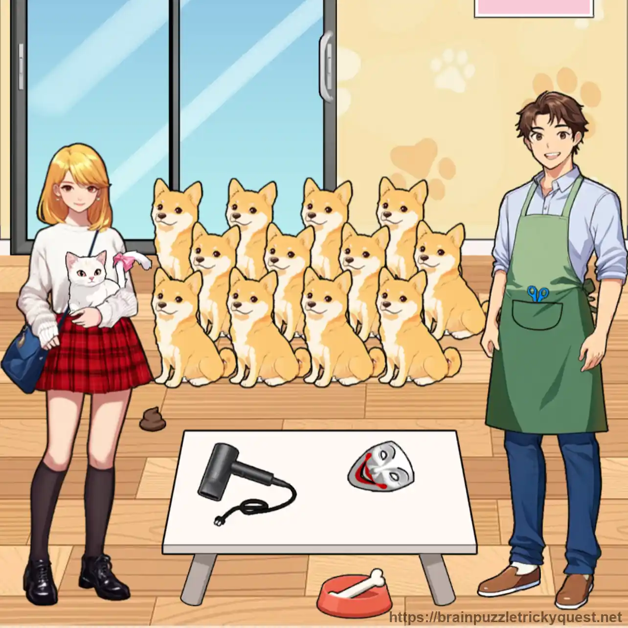 Brain Puzzle Tricky Quest Level 13 Solution Guide