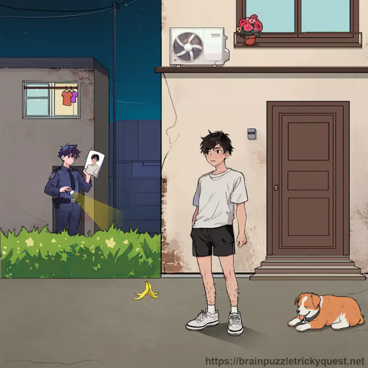 Brain Puzzle Level 39